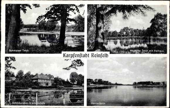 Postcard Reinfeld in Holstein, Schwarzer Teich, Neuhöfer Teich with town hall, moat and old school