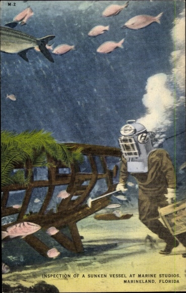 Postcard Florida USA, Marineland, Marine Studios, diver examines a wreck