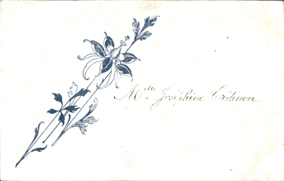 Postcard Blooming Flower