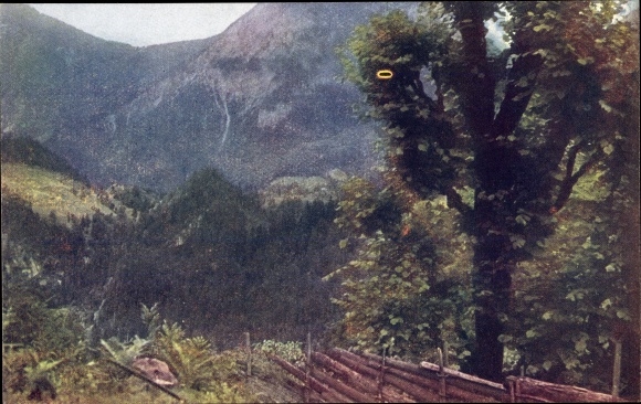 PC Carinthia Austria, motif in the cell valley