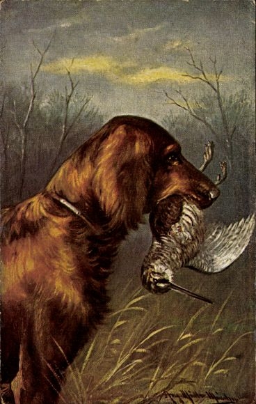 Artist Postcard Müller, Aug., Hunting dog with bird in its mouth, hunting