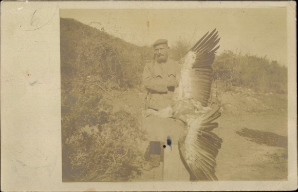 Photo Postcard German soldier in uniform with eagle, I WK