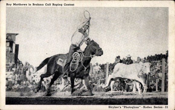 Ak Roy Matthews, Brahma Calf Roping Contest, Cowboy beim Rodeo