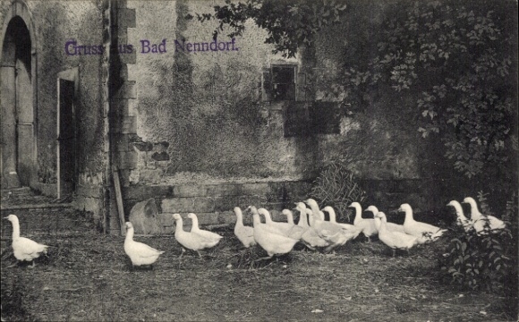 Ak Bad Nenndorf an der Weser, Gruss aus  Enten auf dem Hof,  Kulisse