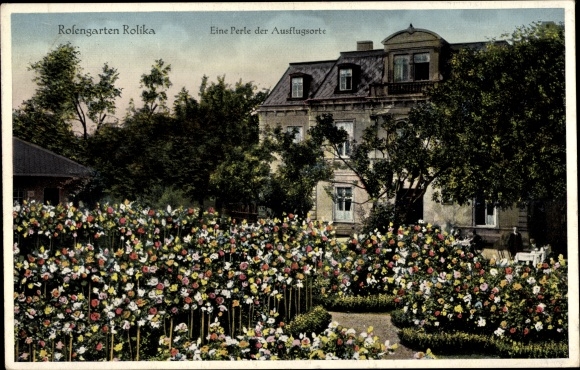 Postcard Rolika Dobitschen in Thuringia, Rosengarten