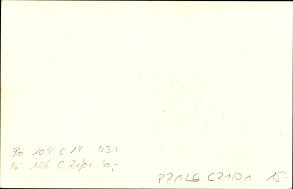 Briefpapier ansichtkaart Prudnik Neustadt Oberschlesien, Oberschlesierbaude, Bischofskoppe, PP 126 C 21 01