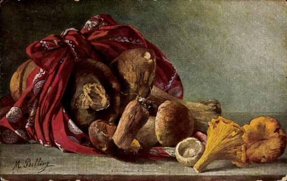 Artysta KP Billing, M., Grzyby w czerwonym materiale, kurki, borowiki