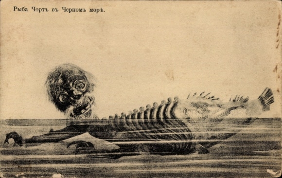 Postcard Sea Monster, Devil, Fish