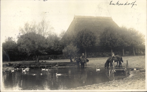 foto Ak Emkendorf in Sleeswijk-Holstein, paarden bij de dorpsvijver