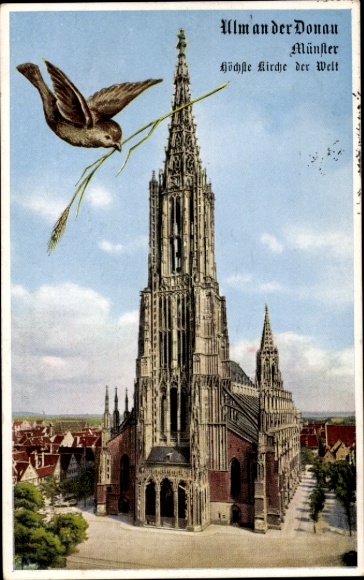 Passepartout Postcard Ulm an der Donau, Münster, Ulmer Spatz
