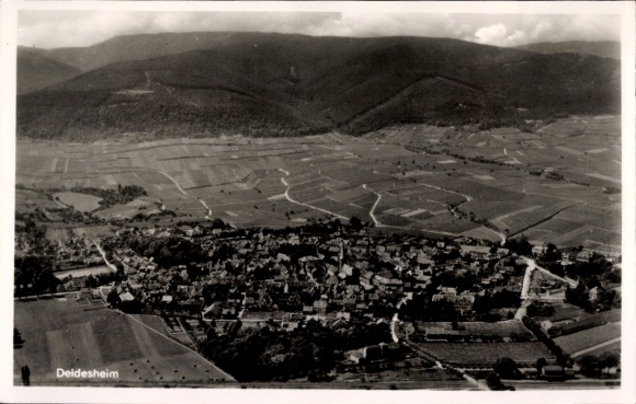 Postcard Deidesheim in the Palatinate, landscape view, vineyards, Deidesheim