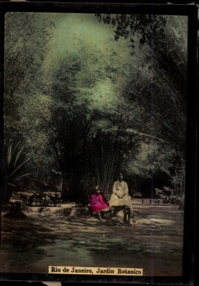 Photo Rio de Janeiro Brasilien, Jardin Botanico