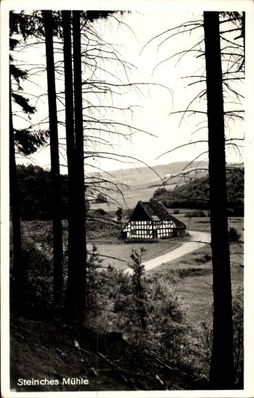 Postcard Daaden in the Westerwald, Steinches Mühle