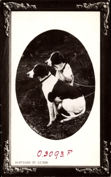 Passepartout Postcard Two Terriers on a Leash