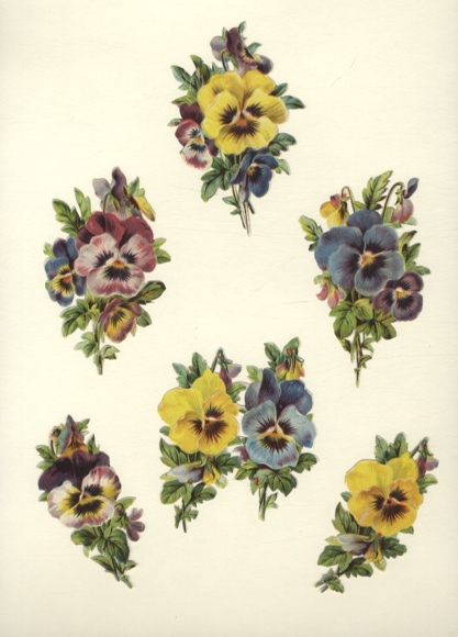 6 Oblaten Stiefmütterchen, ca. 9 x 7 cm und 10 x 6 cm