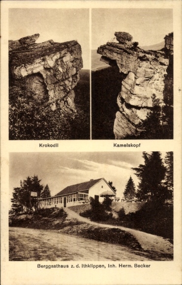 Postcard Alfeld an der Leine, mountain inn at the Ithklippen, owner Herm. Becker, camel's head, crocodile