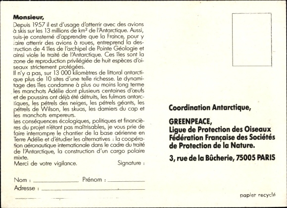 Postcard Greenpeace, penguins, Antarctica, animal protection, environmental protection