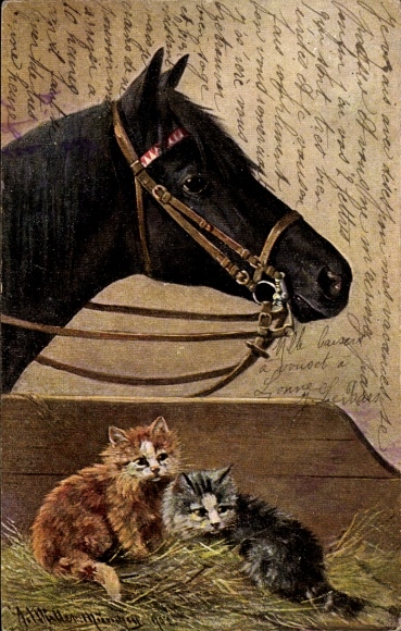 Artist Chromo-Litho Müller, August, kittens in the stable, black horse, Stroefer p. 333
