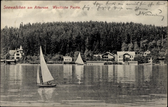 Ak Seewalchen am Attersee in Oberösterreich,  westliche Partie, Segelboote, Wald im Hintergrund
