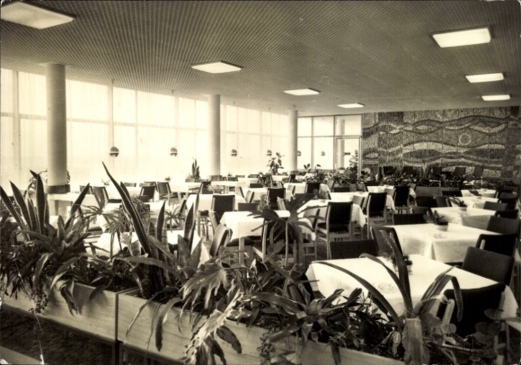 Postcard Ostseebad Ahrenshoop Fischland, bright restaurant room with plants, large windows, table decoration