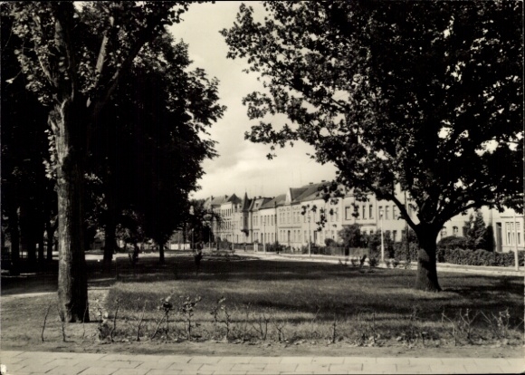 Postcard Friedland in Mecklenburg, section at August Bebel Platz, garden area