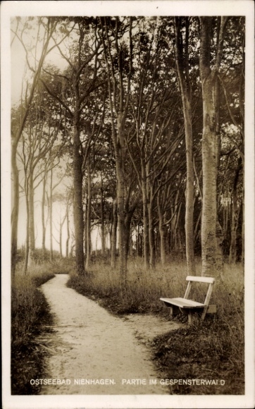 Postcard Ostseebad Nienhagen in Mecklenburg, ghost forest, partial view, bench