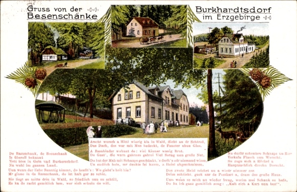Ak Burkhardtsdorf im Erzgebirge, Besenschänke, Wald, Ausflugs-Gaststätte, Gaststätten-Panorama