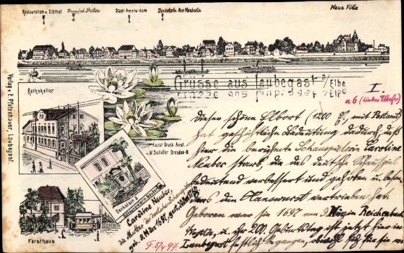 litho Dresden Laubegast, Ratskeller, boswachtershuis, nieuwe villa, Hotel Stadt Amsterdam
