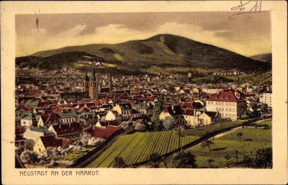 Ak Neustadt an der Haardt Neustadt an der Weinstraße, Totalansicht