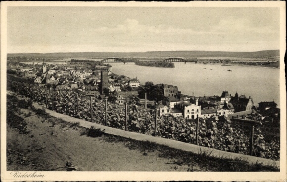 Postcard Rüdesheim am Rhein, city view with vineyards, Rhine, view from the height, bridges