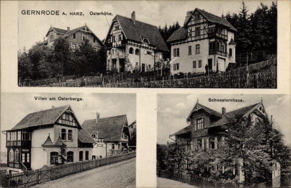 Ak Gernrode Quedlinburg in het Harzgebergte, Gernrode A. Harz, Osterhöhe, Villa's op de Osterberg, Zustershuis