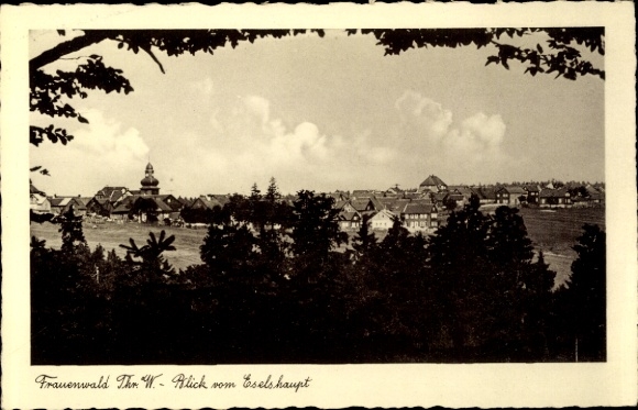 Postcard Frauenwald am Rennsteig Ilmenau in Thuringia, view from the Esels Haupt, landscape with houses and