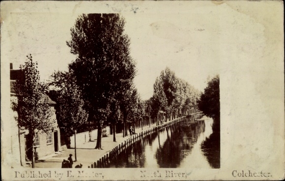 Ak Colchester England, Vorderansicht eines Kanals, Bäume, Gebäude, Menschen am Ufer