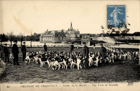 Ak Chantilly Oise, roedel honden, jacht, kasteel
