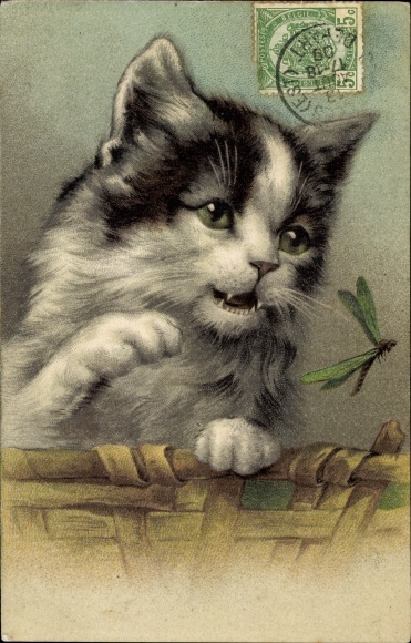 Embossed Chromo-Litho Black and white cat, dragonfly