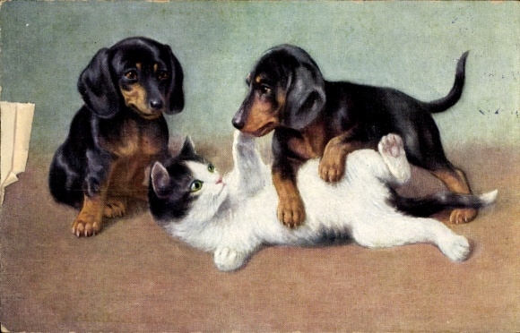 Postcard Two Dachshunds with a Cat
