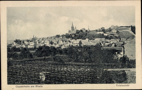 Ak Oppenheim am Oberrhein,  Totalansicht, Weinberge, Stadtansicht