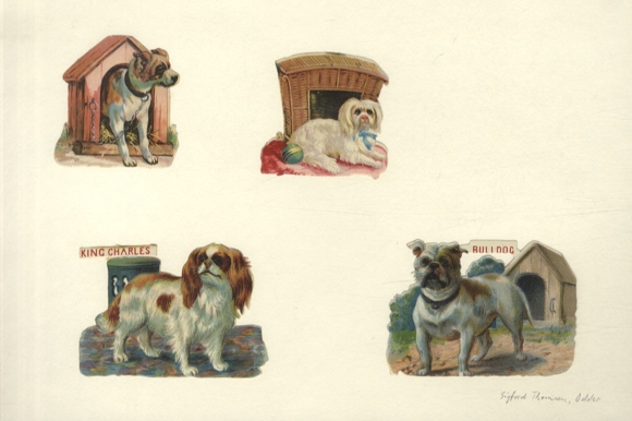 4 pieski waflowe przed domem o wymiarach ok. 6 x 8,5 cm, 5,5 x 6 cm