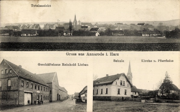 Ak Annarode Mansfeld, Totalansicht, Gruss aus  Geschäftshaus Reinhold Liebau, Schule, Kirche
