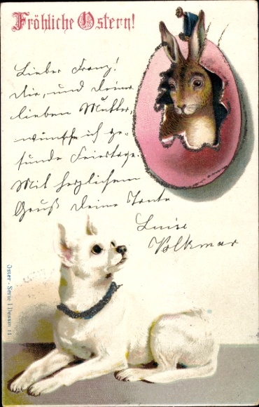 Glitter Postcard Congratulations Easter, bunny looks out of an egg, dog