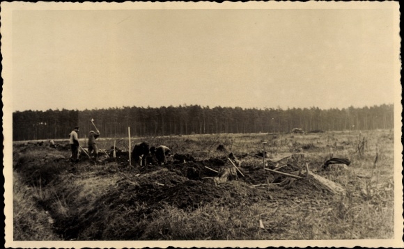 Photo Postcard Zerbst in Anhalt, cyclists&#39; road, stumps are cleared, road construction