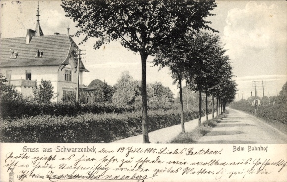 Ak Schwarzenbek in Lauenburg, uitzicht op het treinstation, bomen, straat, gebouwen, historische p...
