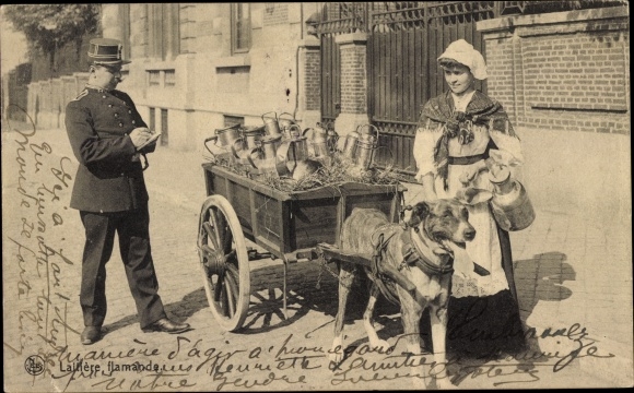 Postcard Laitiere flamande, milkmaid with dog cart, policeman