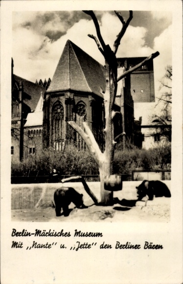 Postcard Berlin, Märkisches Museum, Berlin bears Nante and Jette