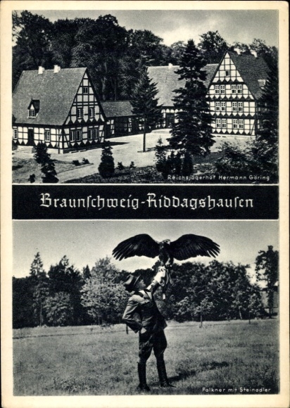Postcard Riddagshausen Braunschweig in Lower Saxony, Reichsjägerhof H. Göring, falconer with golden eagle