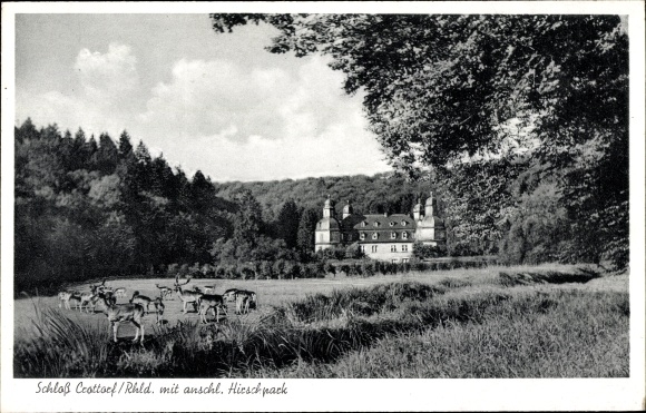 Postcard Crottorf Friesenhagen Rheinland Pfalz, Schloss Crottorf, Hirschpark