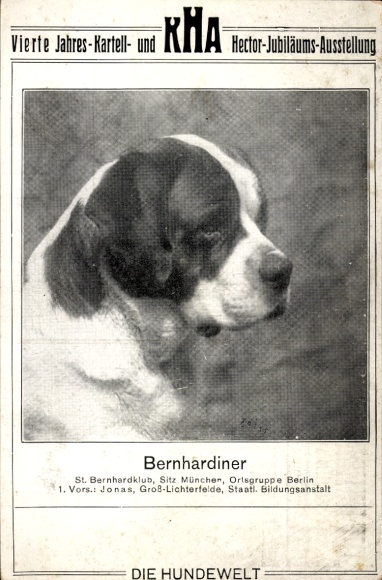 Postcard side portrait of a St. Bernard, sports magazine Die Hundewelt