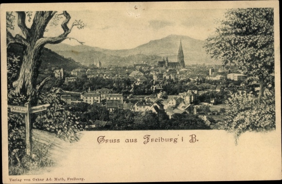 Briefkaart Freiburg im Breisgau, Panorama, PP 19 F 40 01