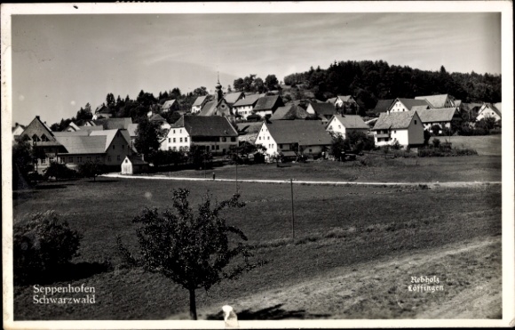 Postcard Seppenhofen Löffingen in the Black Forest, partial view
