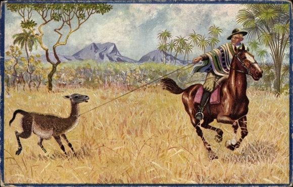 Postcard Argentine Gaucho catches guanacos with lasso
